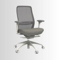 Ergonomic Chairs