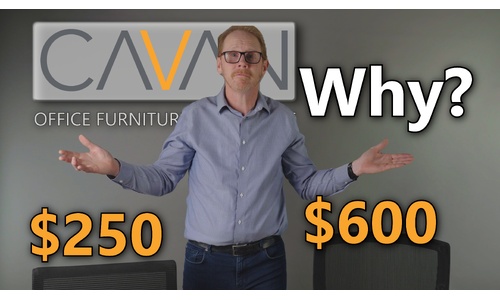 $250 vs $600 Office Chair - Which is right for you? image