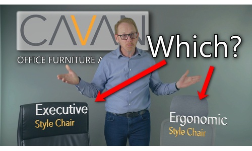 Task Chair or Executive Chair - Whice one is right for me? image